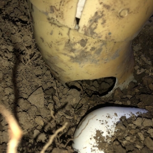 Photo of Advanced Basement Solutions