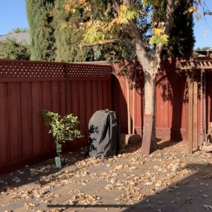 Photo of South Bay Five Star Fence