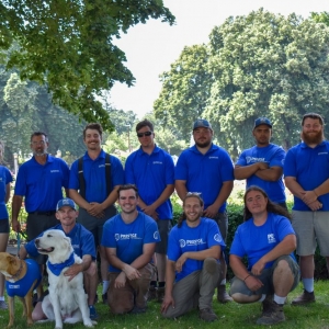 Photo of Prestige Landscape & Tree Service