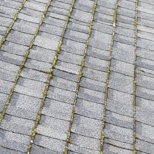 Photo of E & W Pressure Washing And Painting Services