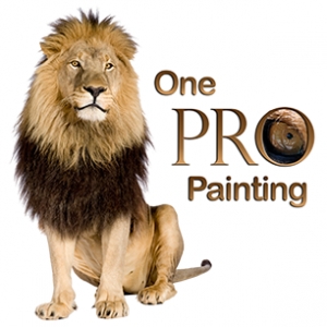 Photo of One Pro Painting