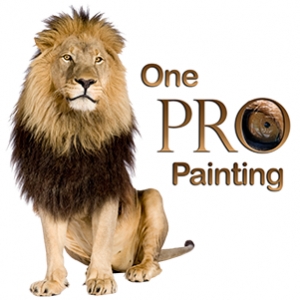 Photo of One Pro Painting