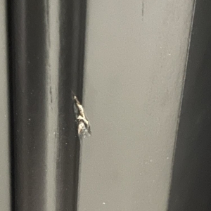 Photo of Doors Galour