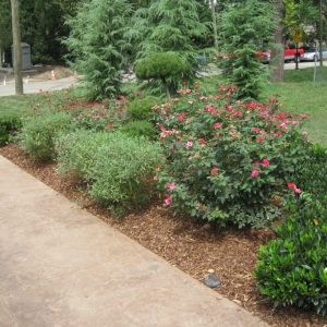 Photo of Grassland Horticulture