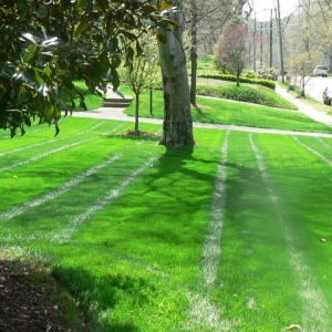Photo of Grassland Horticulture