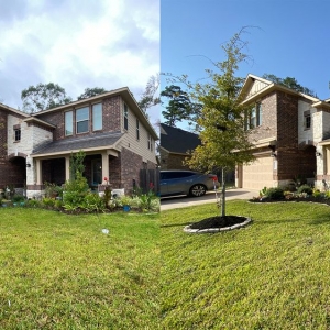 Montgomery HLB Services