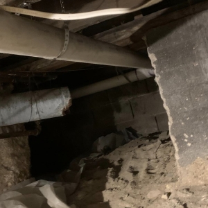 Photo of Done Right Sewer Service Plus