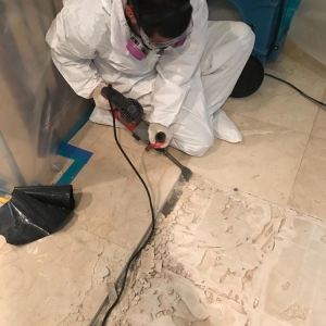 Photo of Rapid Quality Restoration