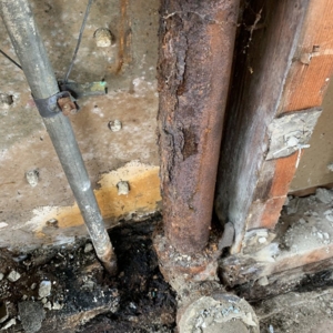 Photo of Tomo's Plumbing
