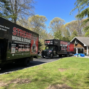 Photo of Streamline Moving