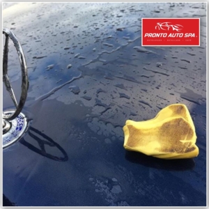 Photo of Pronto Auto Spa