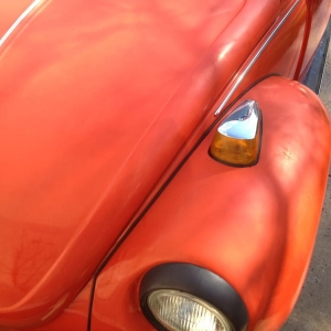 Photo of Hodo's Diamond Detailing