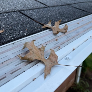 Photo of Gutter Guards Direct