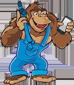 Photo of Gorilla Building