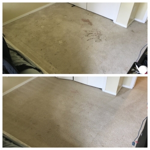 Photo of Spruce Carpet Cleaning