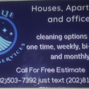Photo of Deylie Cleaning Services