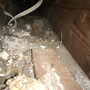 Photo of Speedy Air Duct Cleaning