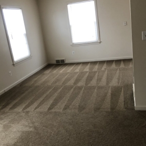 Photo of AGL Carpet Cleaning