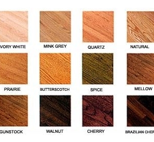 Photo of Capitol Hill Floor