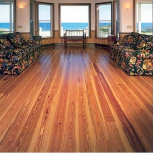 Photo of Capitol Hill Floor