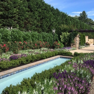 Photo of Terra Verde Landscape Architecture & Design