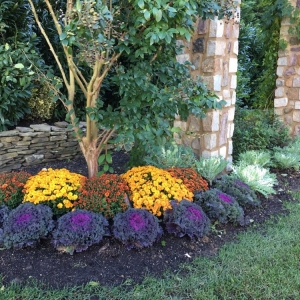 Photo of Terra Verde Landscape Architecture & Design