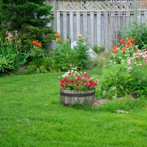 Photo of Blue Planet Lawn