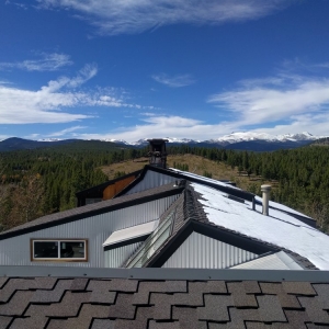 Photo of Spruce Tree Handyman Services