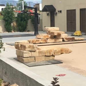 Photo of Total Landscape Management