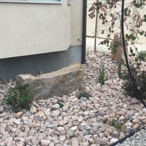 Photo of Total Landscape Management