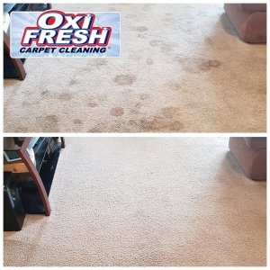 Photo of Oxi Fresh Carpet Cleaning