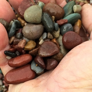 Photo of West Seattle Landscape & Stone Supply