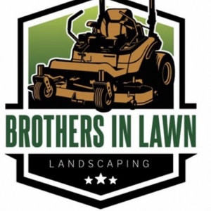 Photo of Brothers in lawn