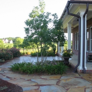 Photo of Ambiance Landscape