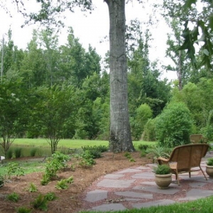 Photo of Ambiance Landscape