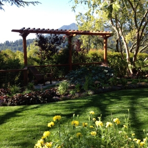 Photo of Innovation Landscape Design