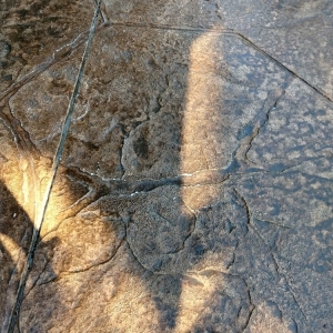 Photo of Lasting Impressions Decorative Concrete