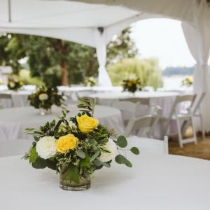 Photo of Olympia Party Planning and Rentals