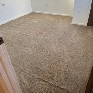Photo of Clean We Will