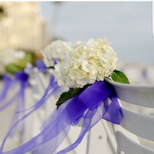 Photo of Sarahpetals