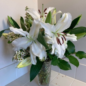 Photo of Sarahpetals