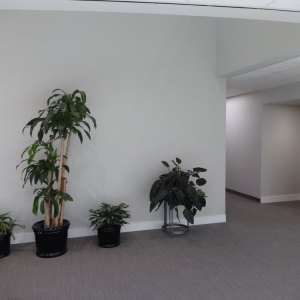 Photo of Allied Tax & Accounting Consultants
