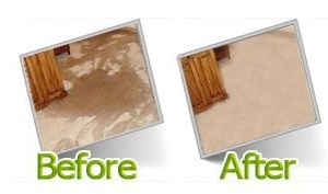 Photo of Carpet Cleaning - Irving