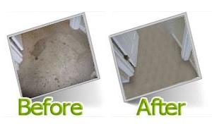 Photo of Carpet Cleaning - Irving