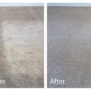 Photo of Carpet Cleaning - Irving