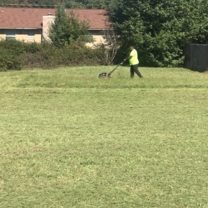 Photo of Andersonâs landscaping