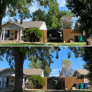 Photo of Tree Solutions