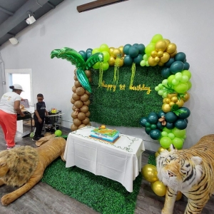 Photo of Kool Kidz Parties