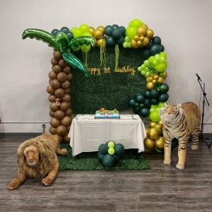 Photo of Kool Kidz Parties