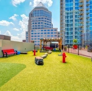 Photo of Skyhouse Uptown North Apartments
